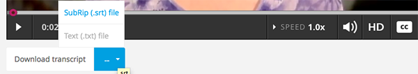 Image of the transcript download format selection.